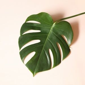 Meet your Posher, Elyse